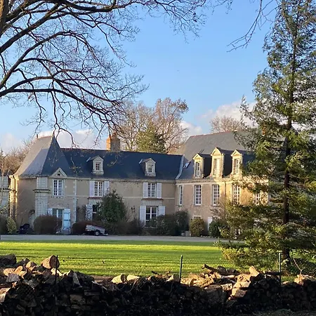 Domitille 阿夫里耶