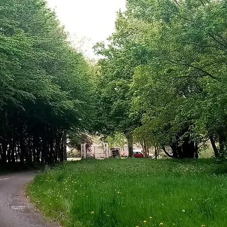 Domitille * Avrille (Maine-et-Loire)