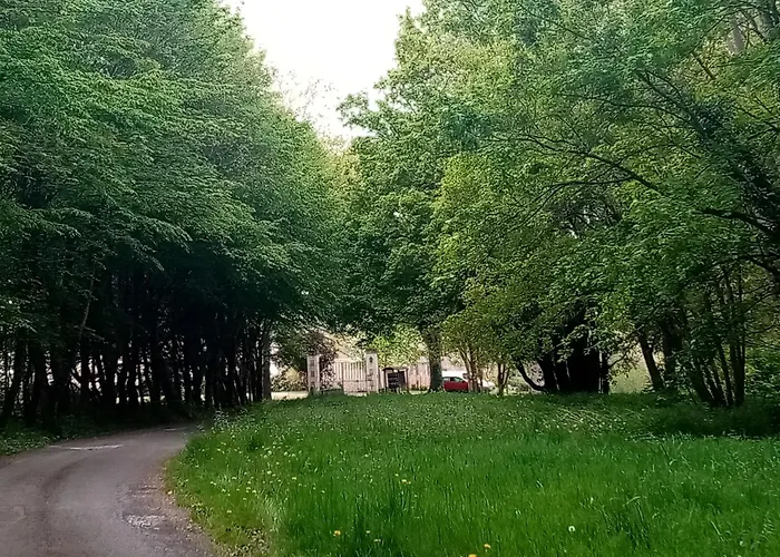 Domitille * Avrillé